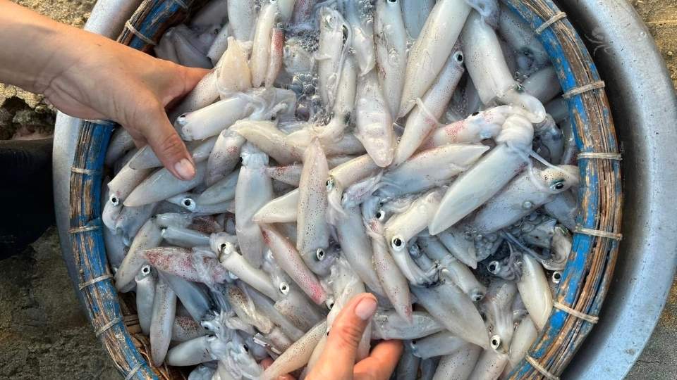 giao hai san tuoi tai hoai nhon